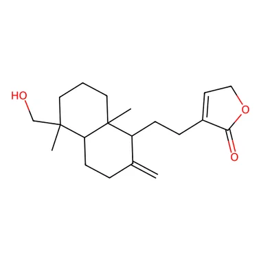 cplabsafety-3202607131922131124896