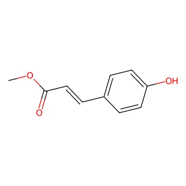 cplabsafety-3202607131925331125272