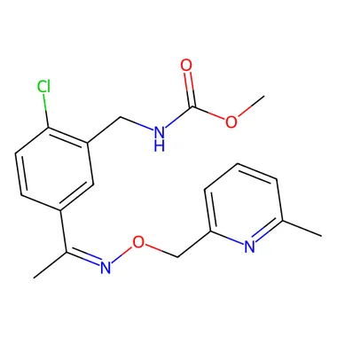 cplabsafety-3202607131929371125737