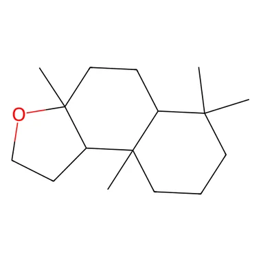 cplabsafety-3202607132204291142083