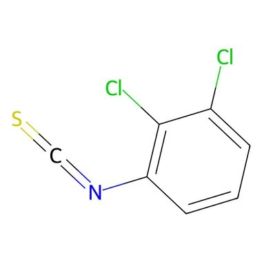 cplabsafety-3202607140011561153565