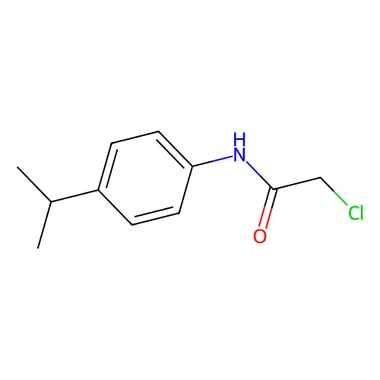 cplabsafety-3202607140202131160261