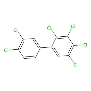 cplabsafety-3202607140450371174818