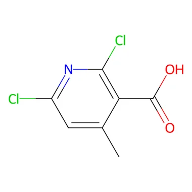 cplabsafety-3202607140624501181834