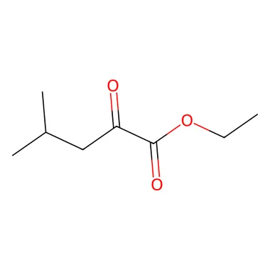 cplabsafety-3202607140904341196366