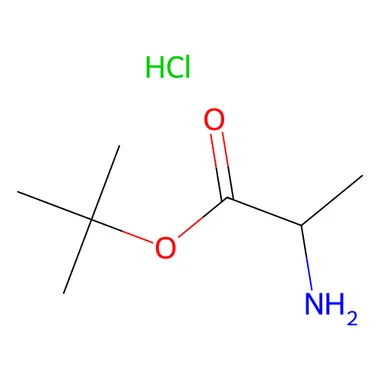 cplabsafety-3202607140912111196873