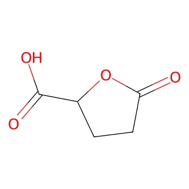 cplabsafety-3202607140936121198584