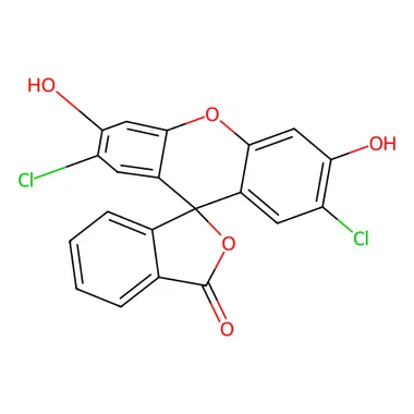 cplabsafety-3202607140942061199027