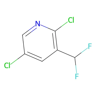 cplabsafety-3202607141310511215651