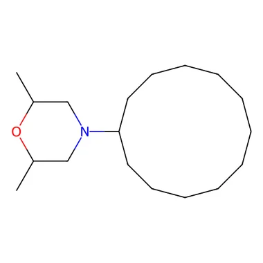 cplabsafety-3202607141332371217371