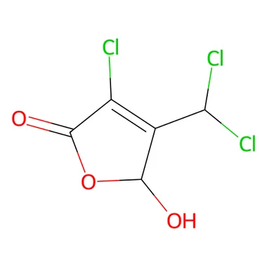 cplabsafety-3202607141339281217955