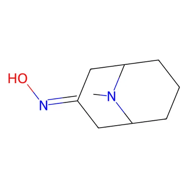 cplabsafety-3202607141611111231913