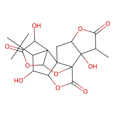 cplabsafety-3202607150108101296255