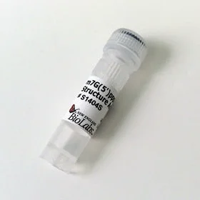 dabos-1202607140334481168660
