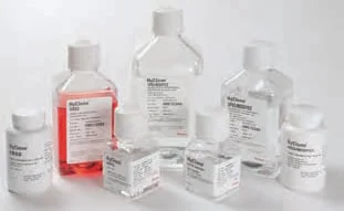 dabos-1202607140730411187814
