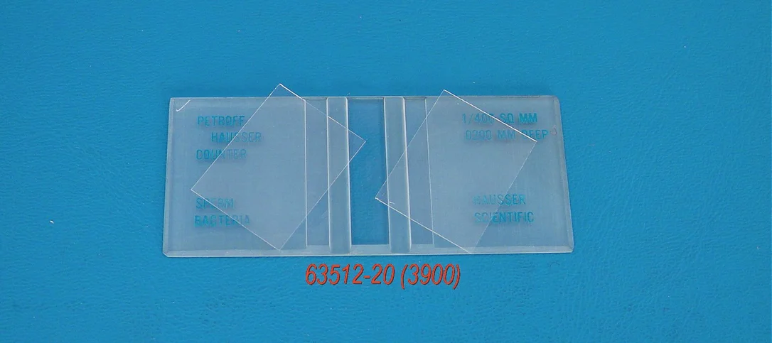 dabos-1202607140731161187867