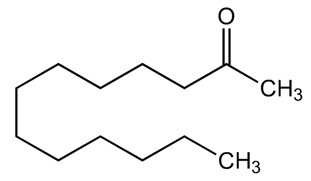 dabos-220260712052112911941