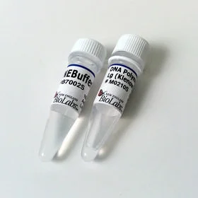 dabos-2202607122149421018577