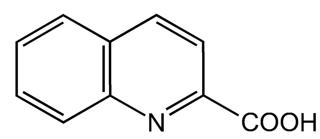 dabos-2202607130343321052722