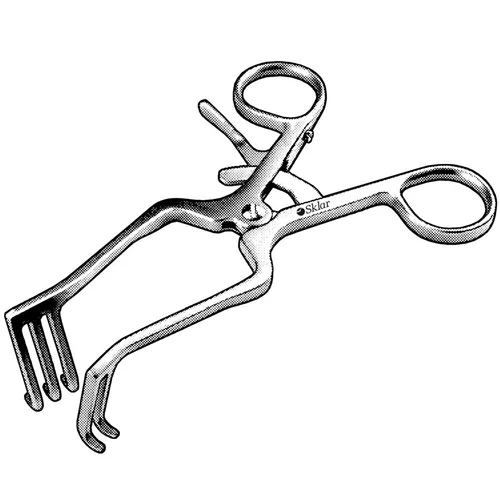 dabos-2202607131944501127304