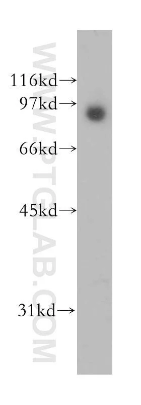 dabos-2202607132106131136033