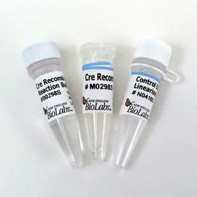 dabos20260711221043877001