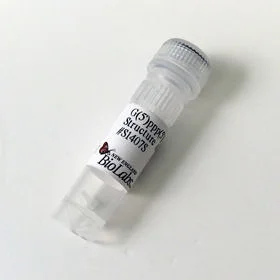dabos20260712030858900985