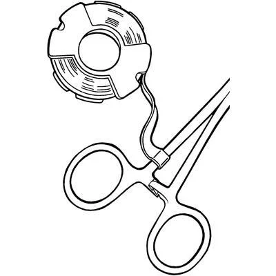 dabos202607130436191056222