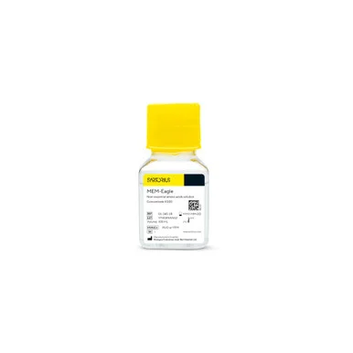 geneseesci20260712000036885755