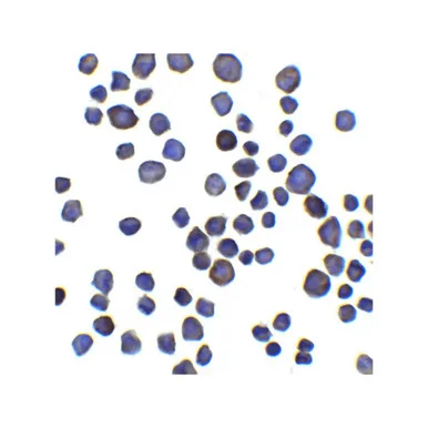 geneseesci20260712020516895650