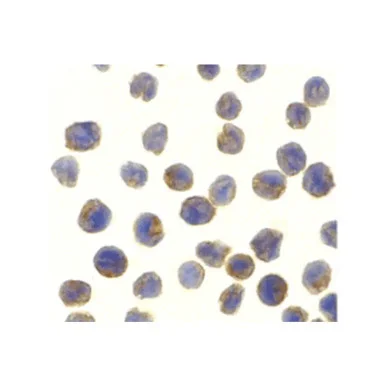 geneseesci20260712020639895753