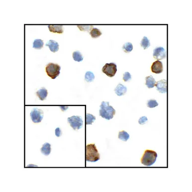 geneseesci20260712042120906857