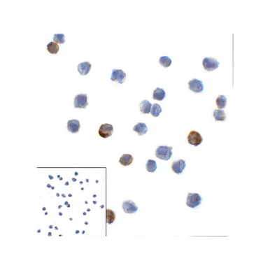 geneseesci20260712044251908454