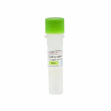 geneseesci20260712061214917439
