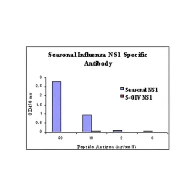 geneseesci20260712061732918157