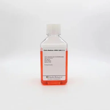 geneseesci20260712093702941127