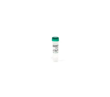 geneseesci20260712180114994162