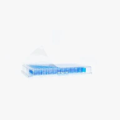 geneseesci202607121957171006149