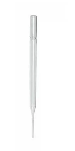 ibisscientific20260712061834918300
