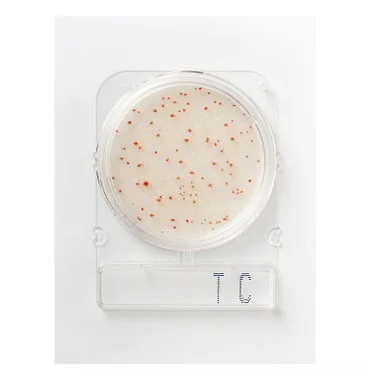 ibisscientific20260712091027938325