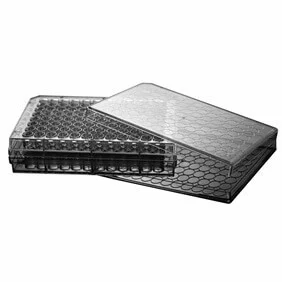 ibisscientific20260712092110939365