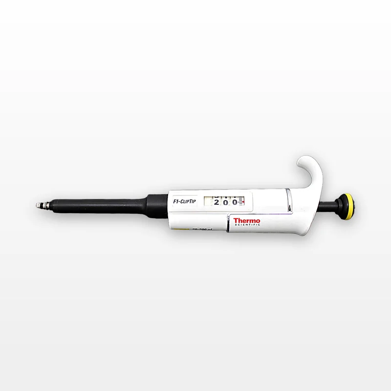 reuzeit20260712013436893330